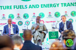 NIES-2022-Round-table-217
