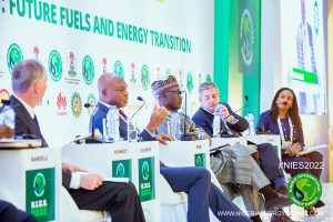 NIES-2022-Round-table-246