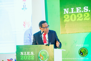 NIES-2022-Round-table-274