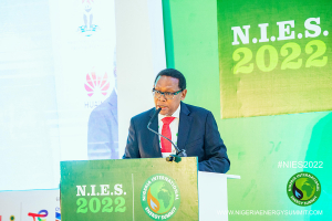 NIES-2022-Round-table-275