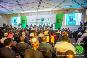 NIES-2022-Round-table-55