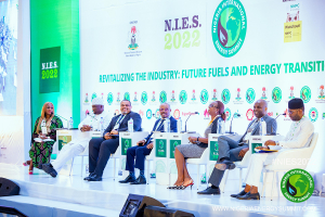 NIES-202-87
