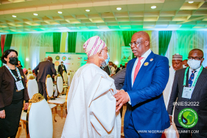 NIES-2022_Opening-Ceremony_State-House-168