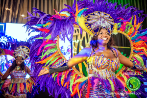 NIES-2022-Gala-Dinner-State-House-41