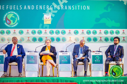 NIES 2022 - INTERNATIONAL PANEL SESSION