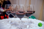 NIES-2023_Day-2-Dinner-104