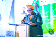 NIES-2023_GIZ-Event-Low-Carbon-Hydrogen_-13