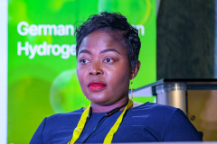 NIES-2023_GIZ-Event-Low-Carbon-Hydrogen_-27