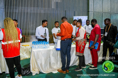 NIES-2023_GIZ-Event-Low-Carbon-Hydrogen_-8