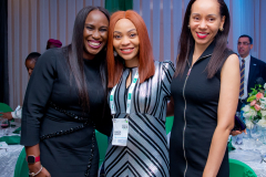 NIES-2024-Ministerial-Dinner-131