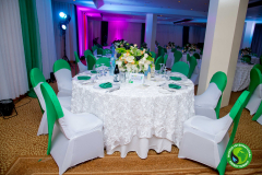 NIES-2024-Ministerial-Dinner-144