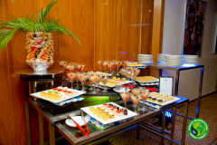 NIES-2024-Ministerial-Dinner-158