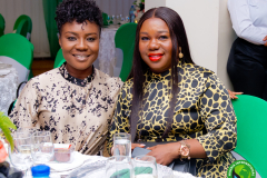 NIES-2024-Ministerial-Dinner-45