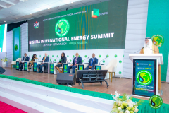 NIES-2024-State-House-Opening-Ceremony-468