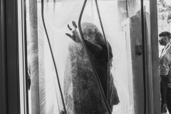 NIPS-2021-DAY-3-INAUGURATION-EXHIBITION-TOUR-236