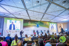 NIPS-2021-DAY-4_PLENARY-SESSIONS-216